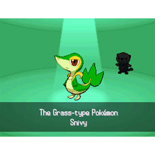 Pokemon: Black Version